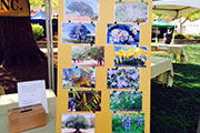 One of the posters from the Los Gatos Community Foundation participating in Earth Day in Los Gatos