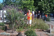 Clean up crew member Kaye Little for Los Gatos Community Foundation